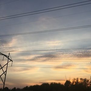 Meet your Posher, Brynn